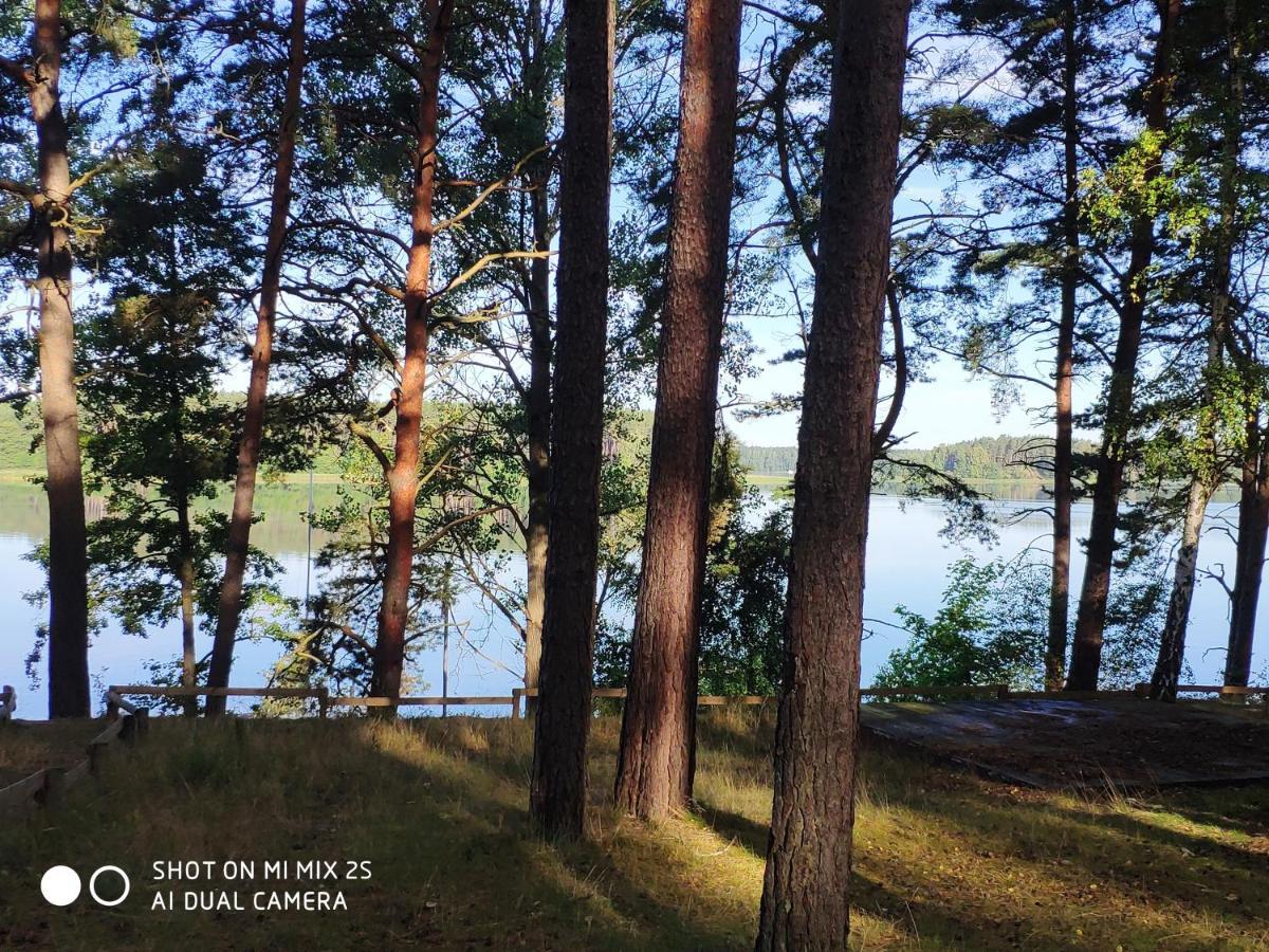 Sloneczny Domek Borsk Nr 2 I 15 - Nad Samym Jeziorem W Pierwszej Linii Esterno foto